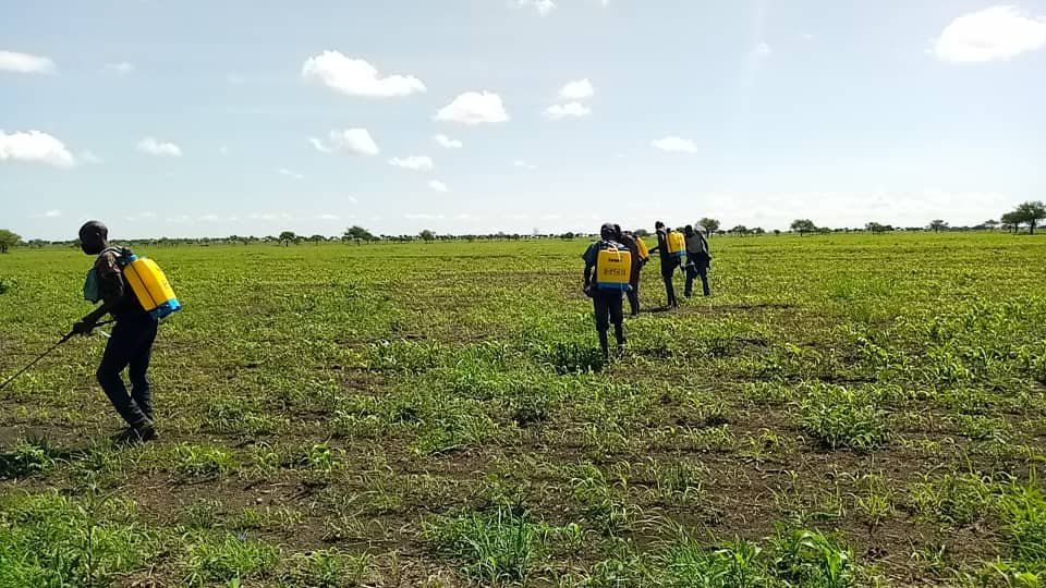 Revolutionizing Irrigation and Weeding in Karamoja for Sustainable Agriculture